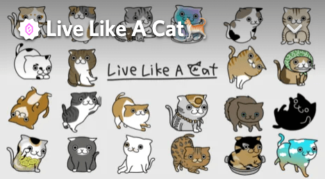 LLACのコミュニティである公式Discord「Live Like A Cat」
